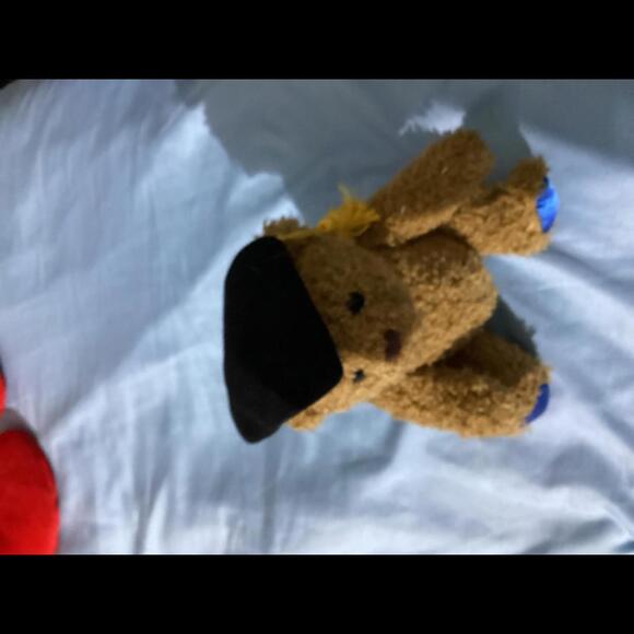 Graduation bears - Picture 3 of 4